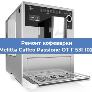 Ремонт кофемашины Melitta Caffeo Passione OT F 531-102 в Красноярске